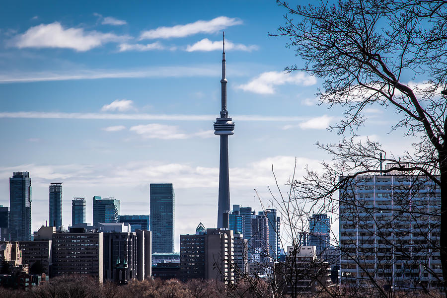The CN Tower - Toronto Photograph by Sara Frank
