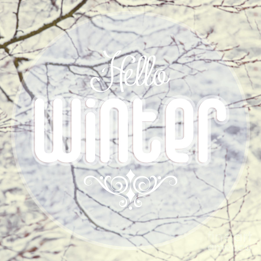 Hello Winter Photograph by Sophie McAulay