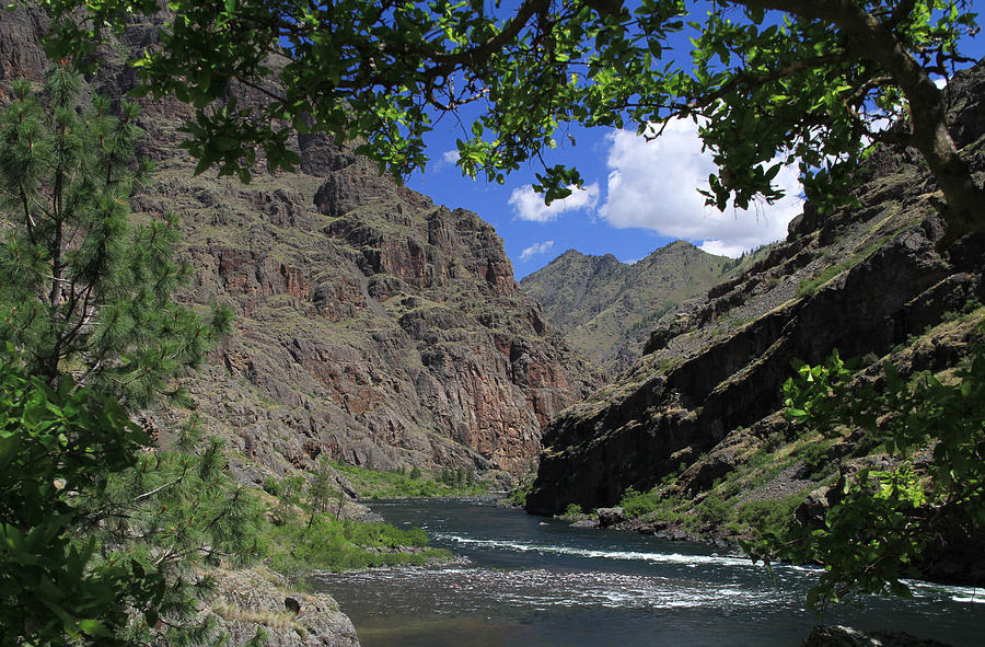 Hells Canyon Snake River Photograph by Ed Riche