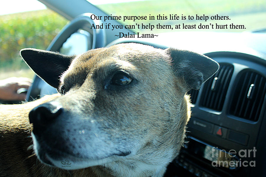 Dalai Lama Photograph - Help Others by Beauty For God Dalai Lama Photograph - Help Others by Beauty For God