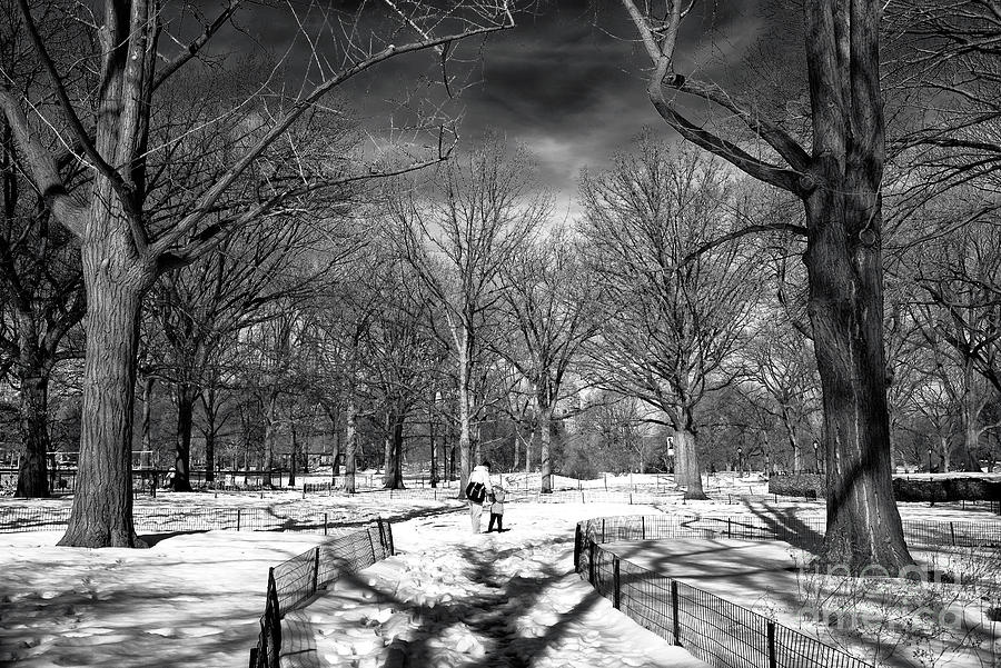 Father Photograph - Helping Hand In Central Park by John Rizzuto Father Photograph - Helping Hand In Central Park by John Rizzuto
