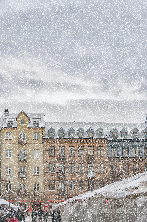 Helsingborg Market Winter Weather Photograph by Antony McAulay