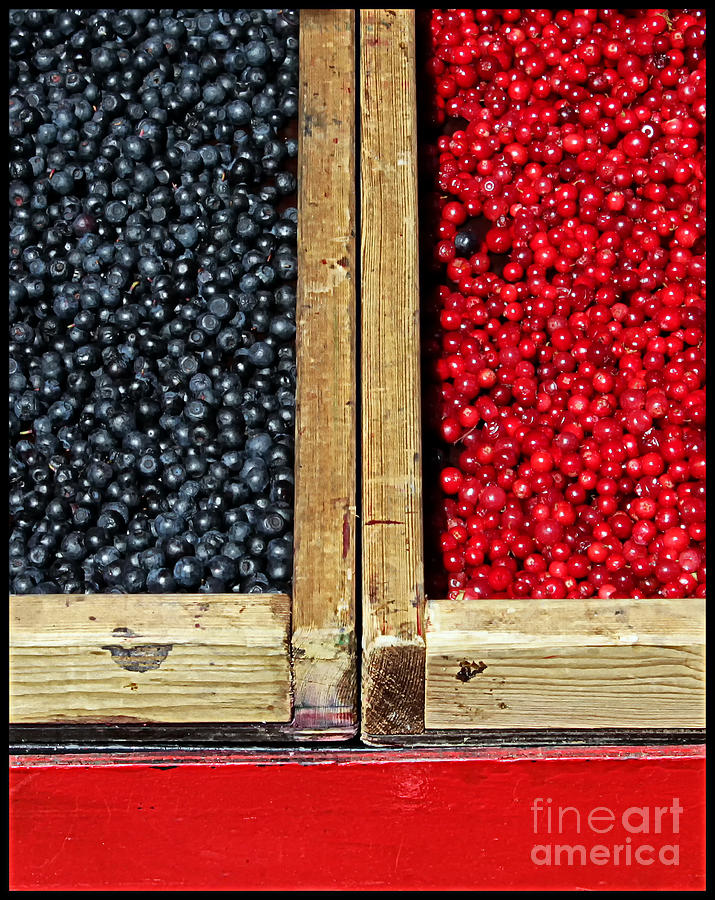 Farm Photograph - Helsinkian Berries by Stefan H Unger