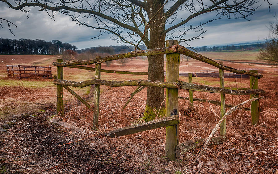 Winter Photograph - Fenced In by Nick Bywater
