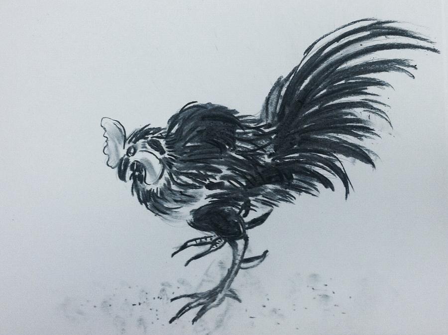 Hen Drawing by Hae Kim