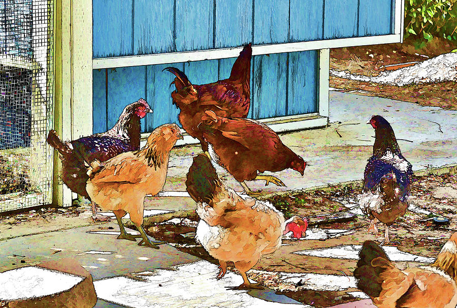 Hen Party Painterly I  Digital Art by Linda Brody
