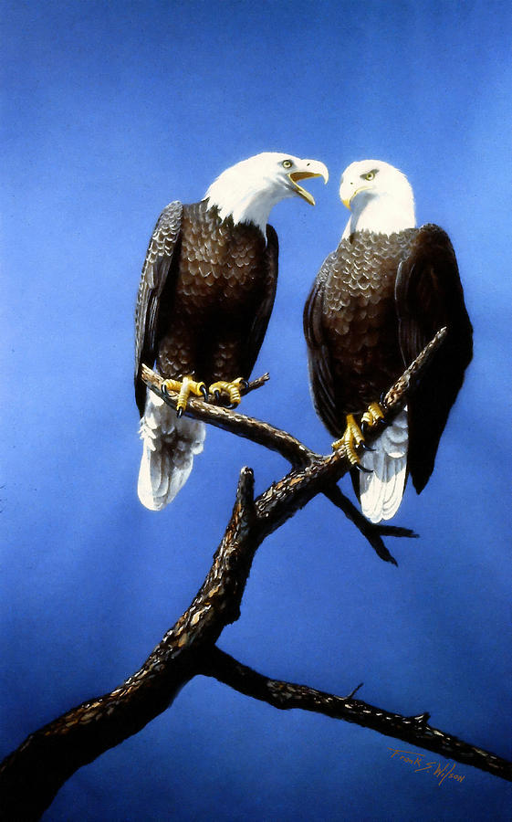 Hen Pecked Eagle Painting by Frank Wilson
