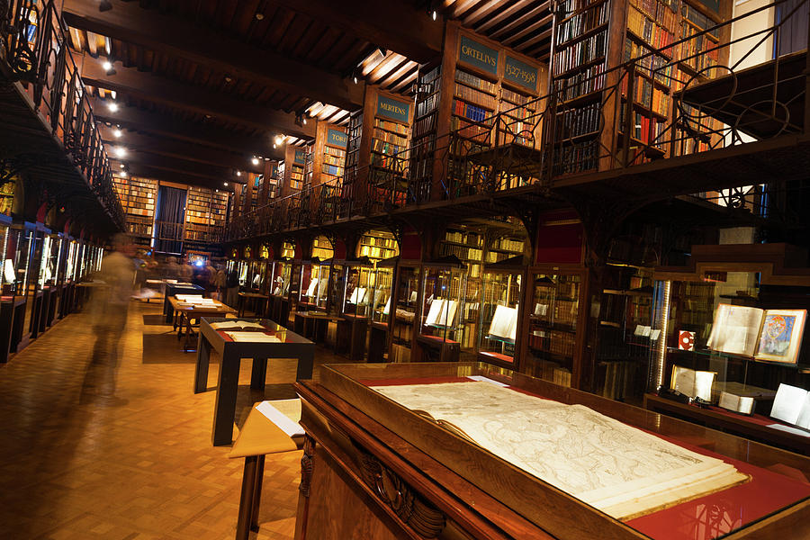 Hendrik Conscience Heritage Library Interior Tilt Photograph By Pius ...