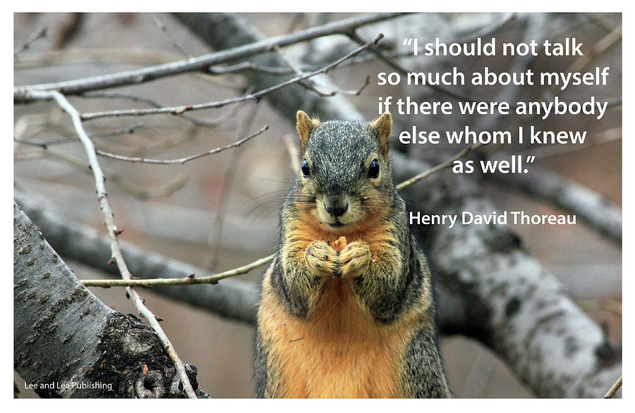 Henry David Thoreau - 9 Photograph by Mark Slauter