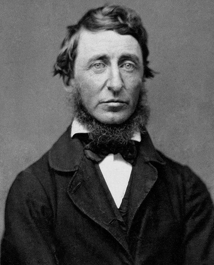 Henry David Thoreau - Essayist and Philosopher Photograph by War Is Hell Store