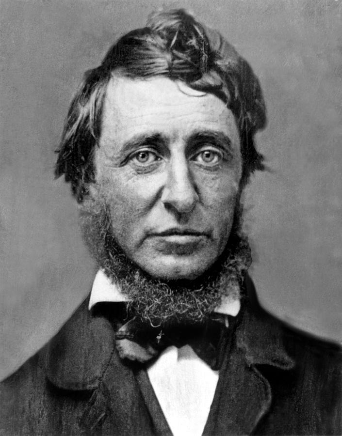 Henry David Thoreau Photograph by Everett