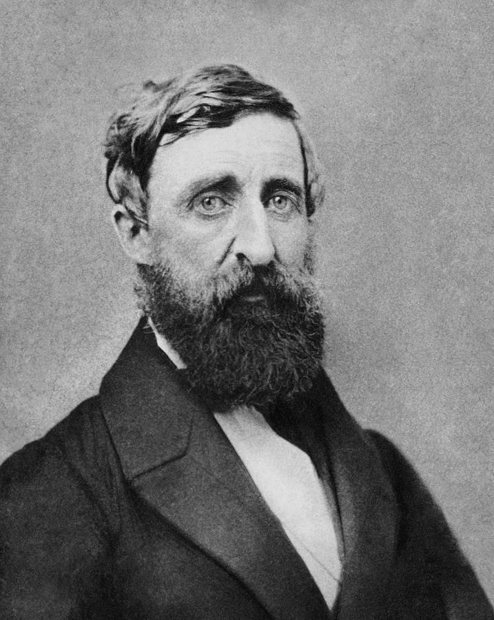 Henry David Thoreau Portrait - 1861 Photograph by War Is Hell Store