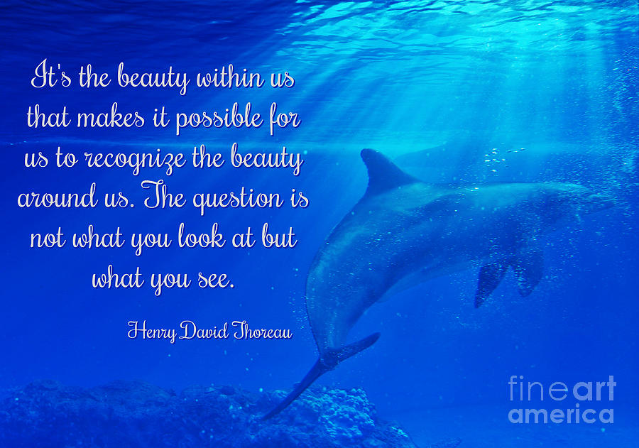 Henry David Thoreau Quote on Beauty with Dolphins Photograph by Stephanie Laird