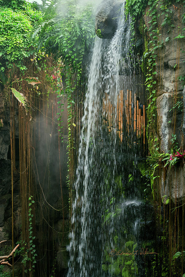 Henry Doorly Waterfall Photograph by Ed Peterson