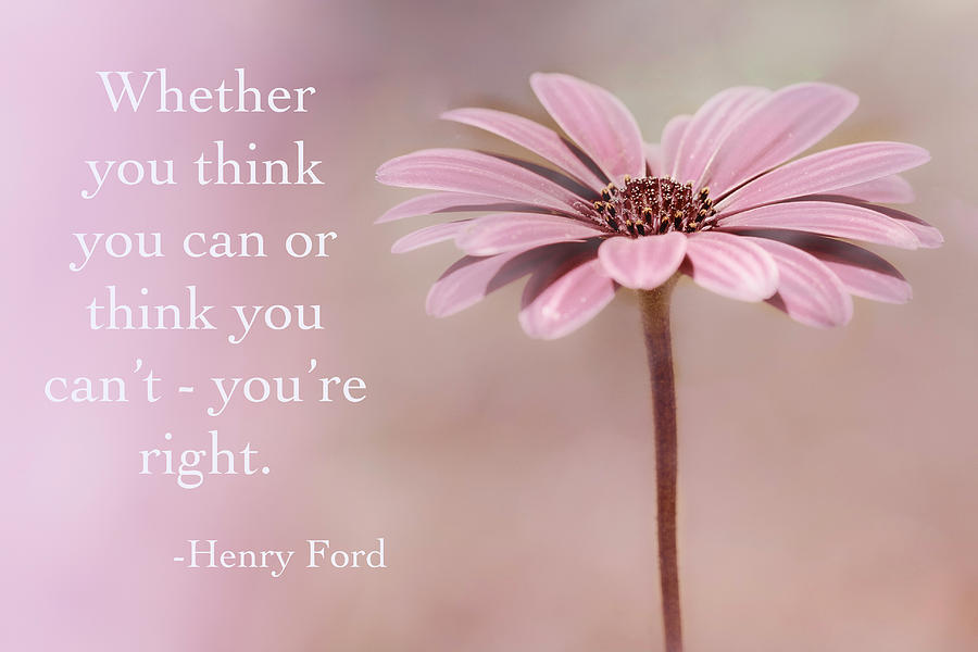 Henry Ford Quote Photograph by Susan Schmidt - Fine Art America