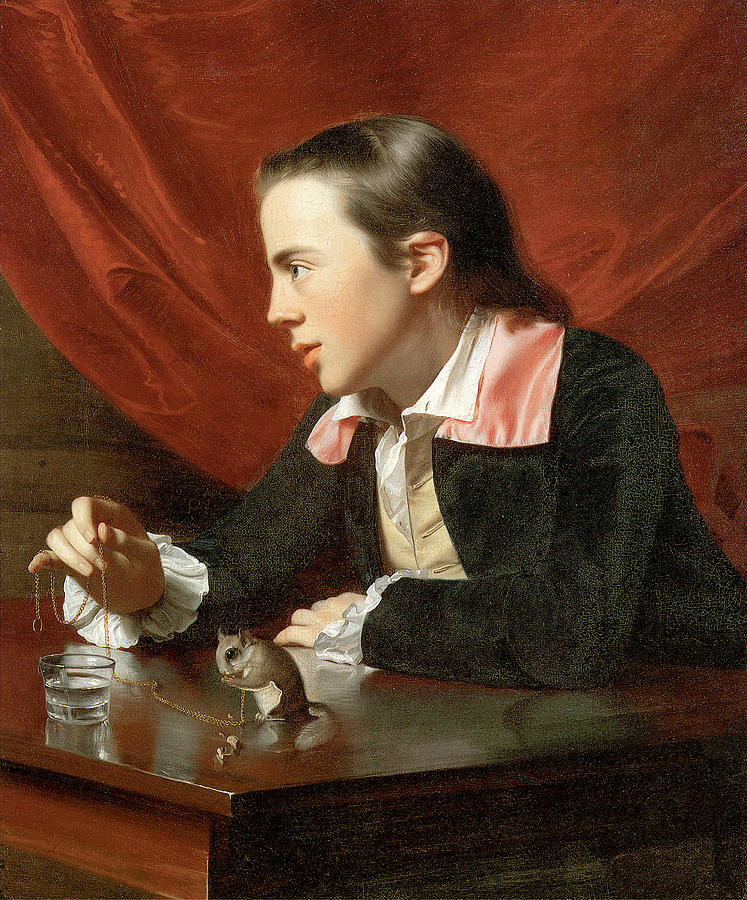 Henry Pelham Boy with a Squirrel Painting by John Singleton Copley