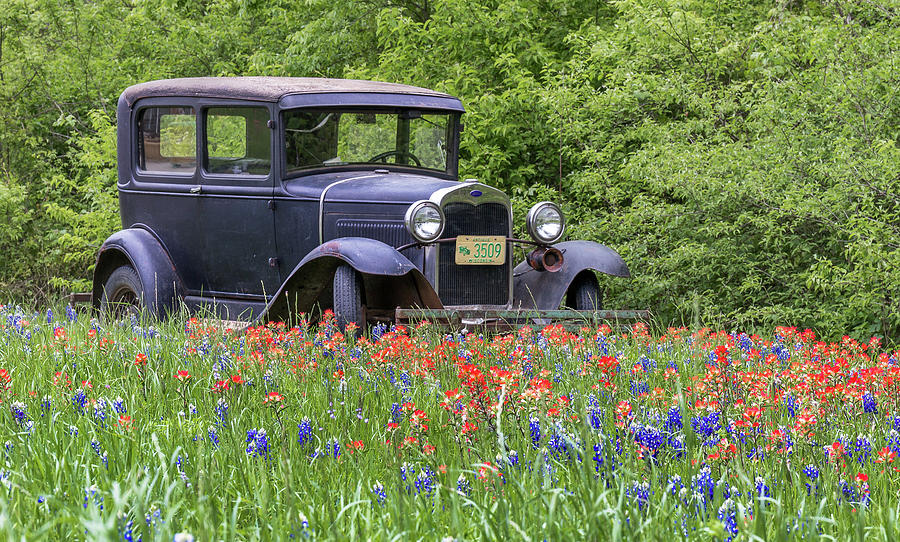 Henry the Vintage Model T Ford Automobile Photograph by Robert Bellomy