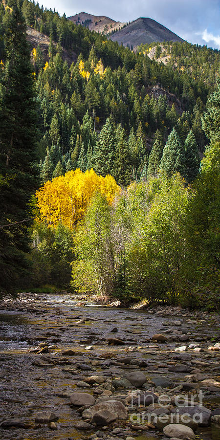 Henson Creek 1 Photograph by Jim McCain