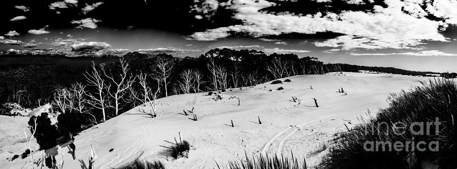Henty Dunes Tasmania Photograph by Jorgo Photography
