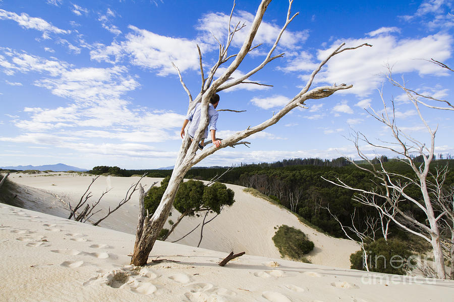 Henty dunes tourist climbing dead tree Photograph by Jorgo Photography