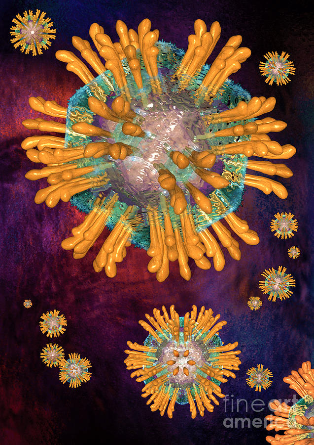 Hepatitis C Virus particles or virions. Digital Art by Russell Kightley