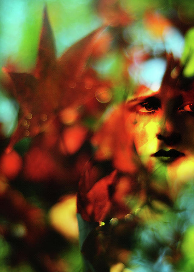Her Autumn Eyes Photograph by Rebecca Sherman