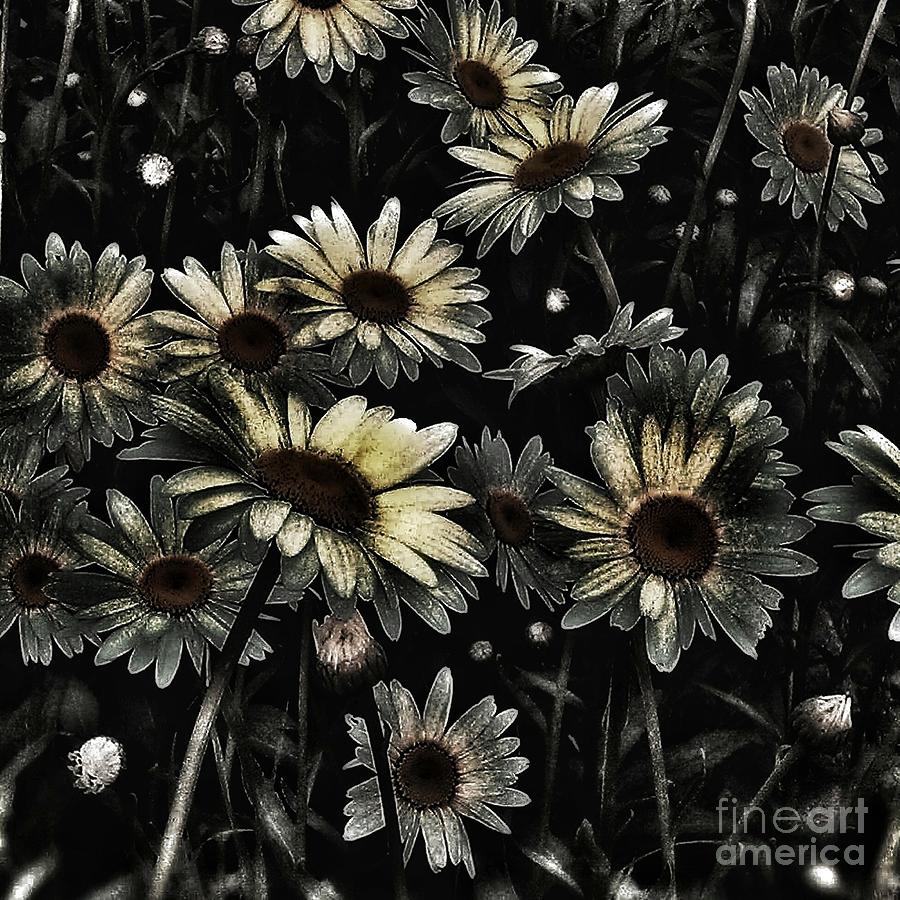Her Daisies Photograph by Jacqueline McReynolds