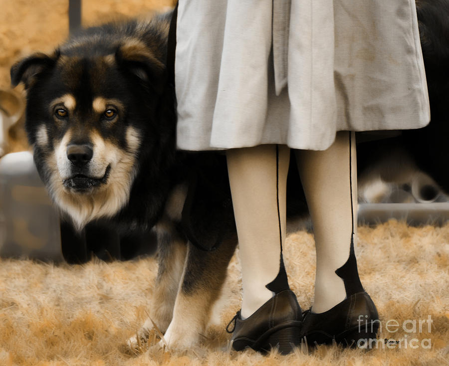 Dog Photograph - Her Guardian  by Steven Digman