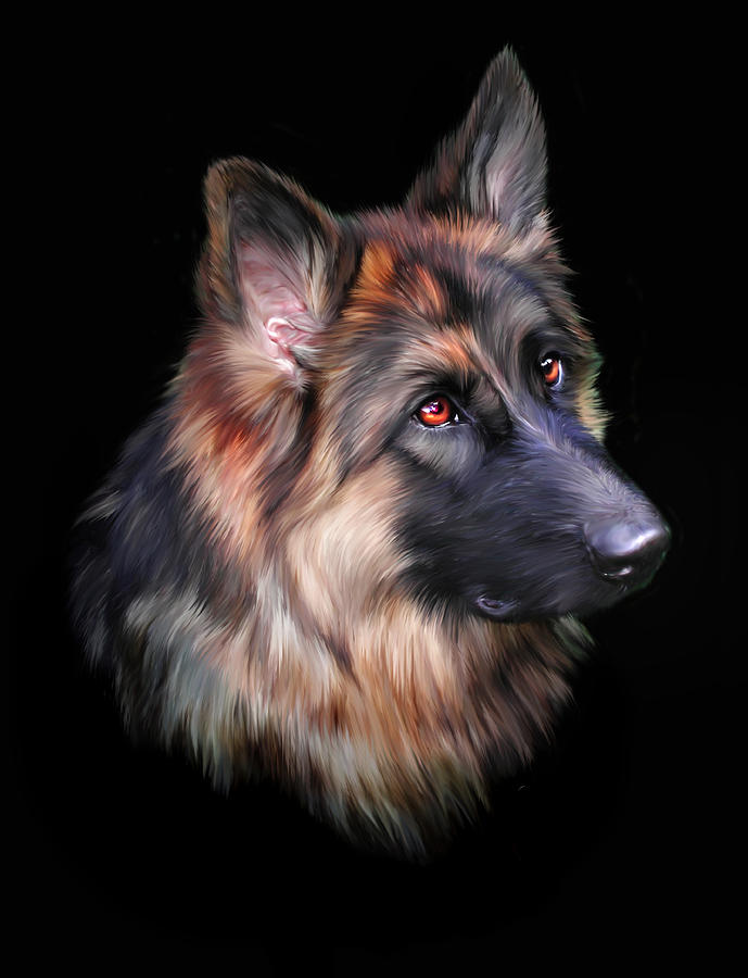 Dog Digital Art - Hera by Julie L Hoddinott