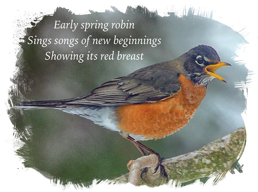Heralding Spring Haiku Photograph by Constantine Gregory