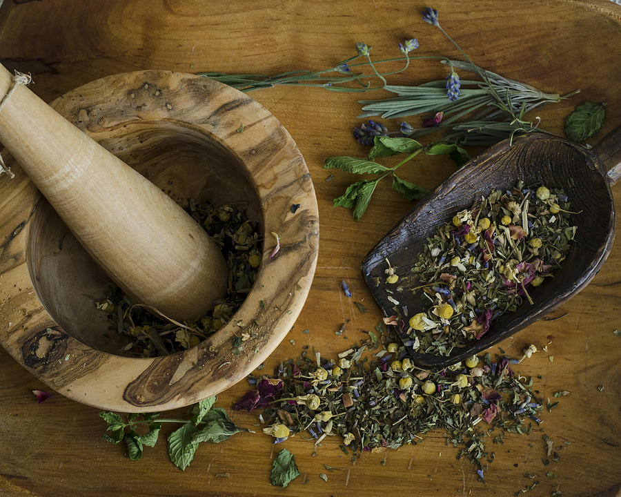 Herbal Photograph by Heather Applegate