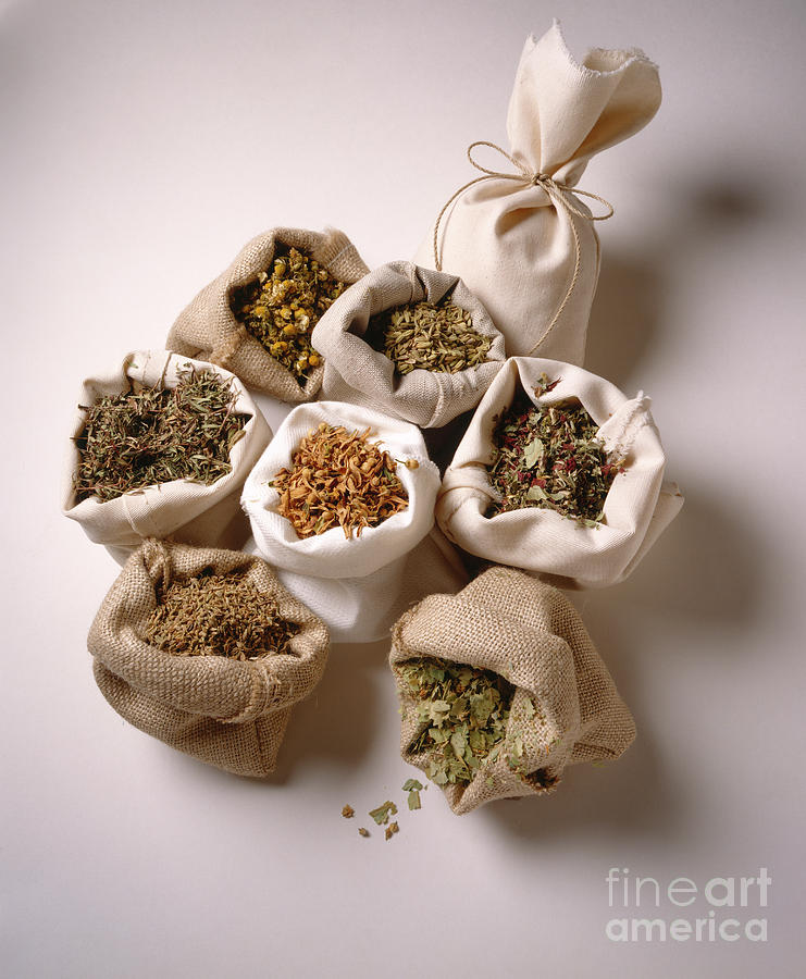 Still Life Photograph - Herbal Teas And Seeds by Stefania Levi