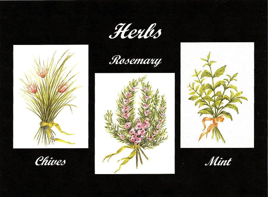 Herbs Montage Number Two Painting
