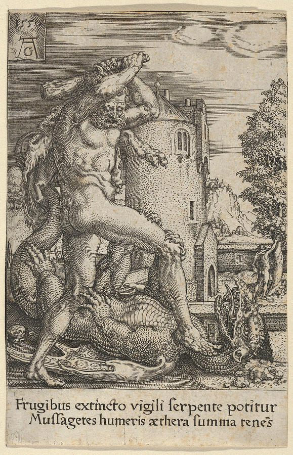 Hercules Killing the Dragon Ladon Drawing by Heinrich Aldegrever