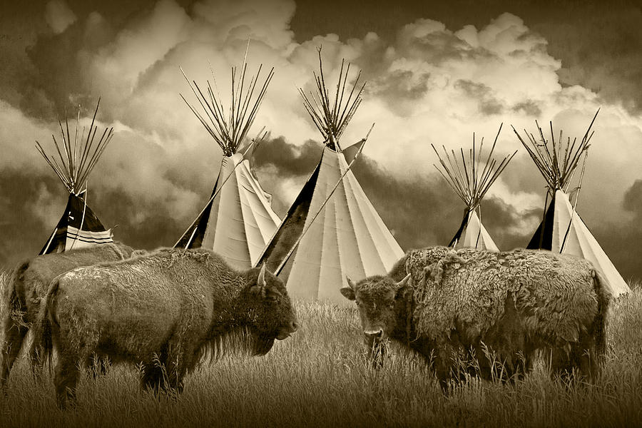 Yellowstone National Park Photograph - Herd of Buffalo and Teepees of the Blackfoot Tribe by Randall Nyhof