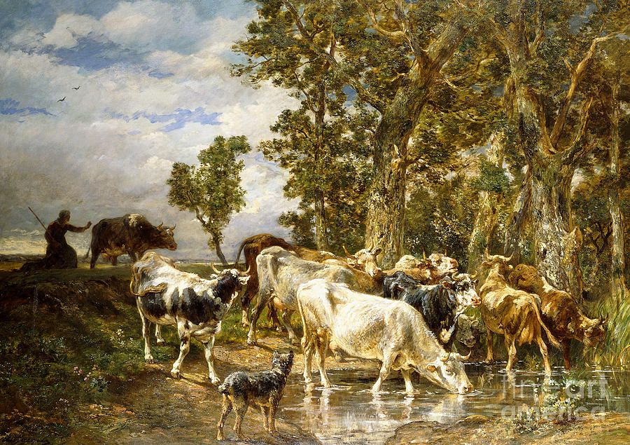 Cow Painting - Herd of Cows at a Drinking Pool by Charles Emile Jacque