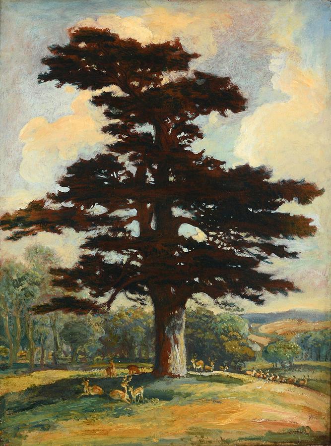 cedar tree painting