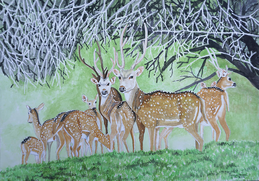 Herd of deers Drawing by Themiya Herath - Fine Art America