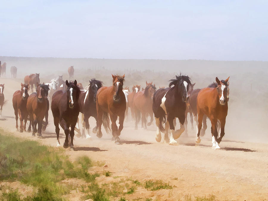 Herd of Horses during the Great American Horse Drive on a Dusty Road by Nadja Rider Herd of Horses during the Great American Horse Drive on a Dusty Road by Nadja Rider