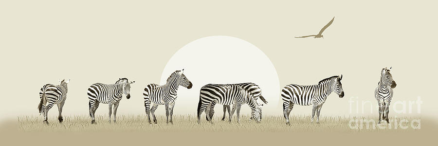 Animal Mixed Media - Herd of zebras by Monika Juengling