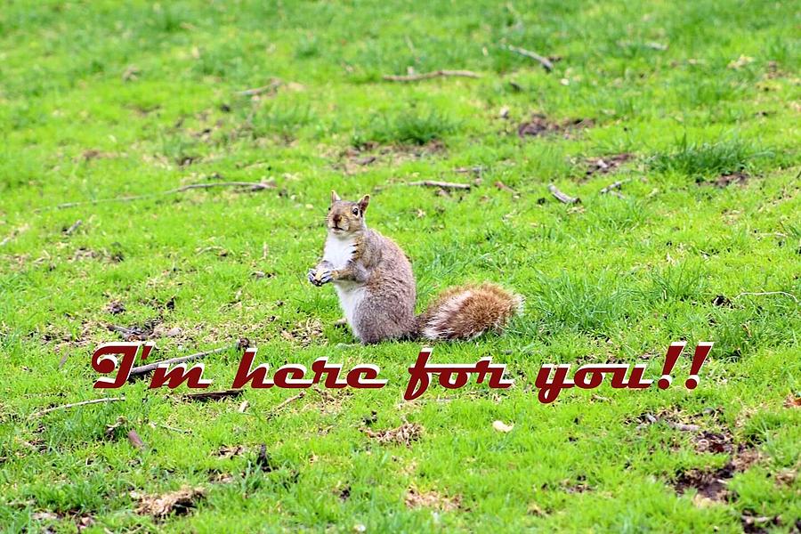Here for you Photograph by Deanna Culver