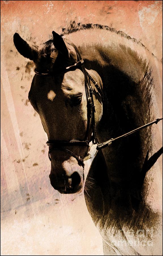 Horse Photograph - Here I Am by Clare Bevan