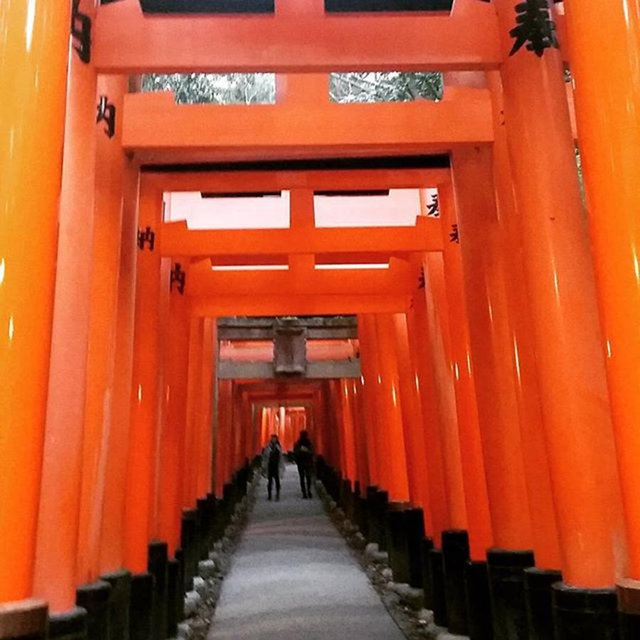 Scenery Photograph - Here I Am In Fushimi-inari In Kyoto by Lady Pumpkin