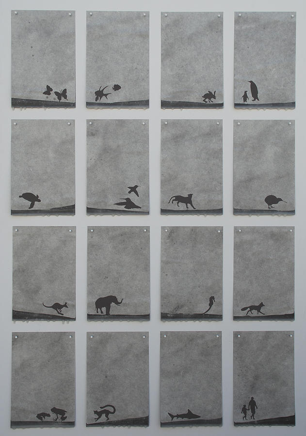 Animal Drawing - Here Today Gone Tomorrow by Elizabeth Comay