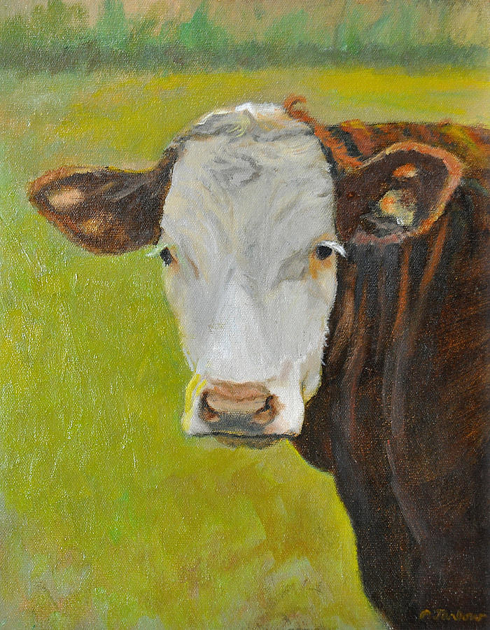 Cow Painting - Hereford Cow Portrait by Phyllis Tarlow
