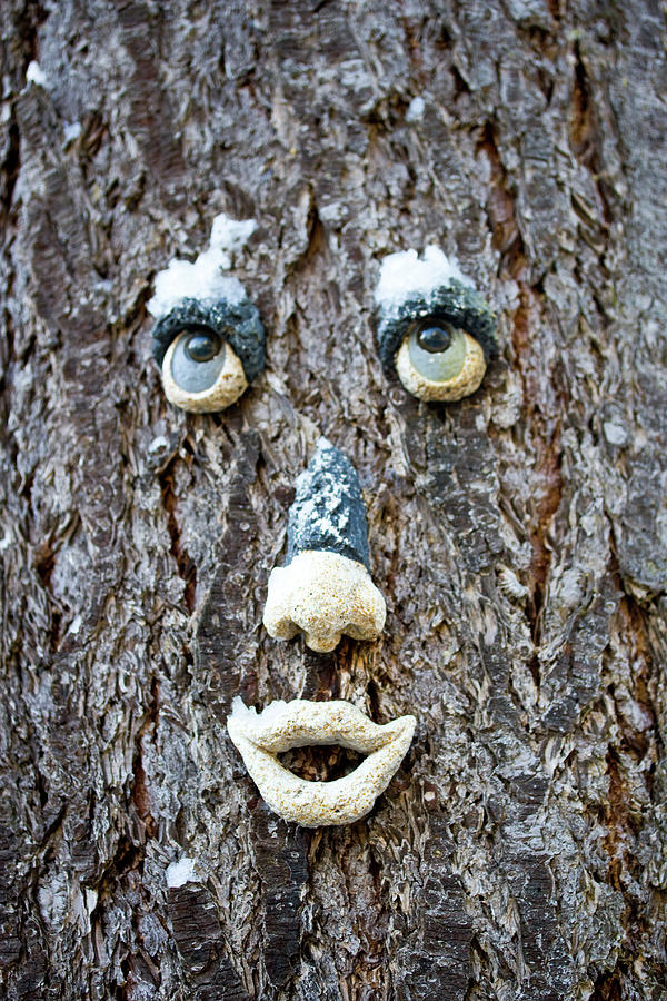 Heres Looking At You - Funny Face Photograph by Marie Jamieson