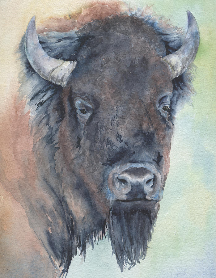 Heres Looking At You - Bison Painting by Marsha Karle