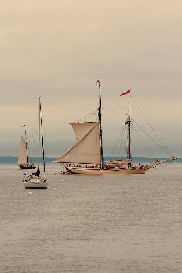 Heritage Making Sail Photograph by Doug Mills