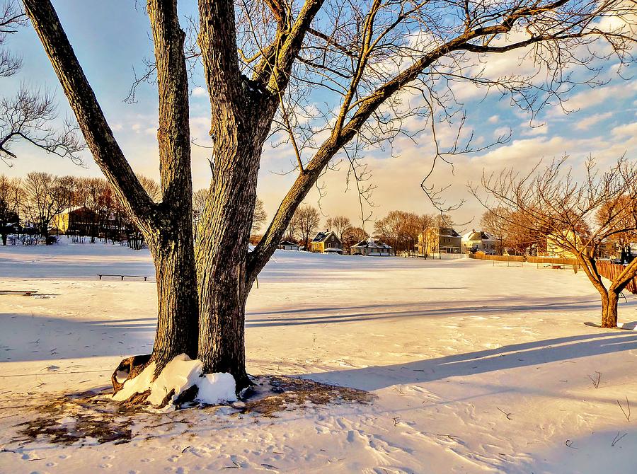 Herlihy Park in Winter Photograph by Scott Hufford