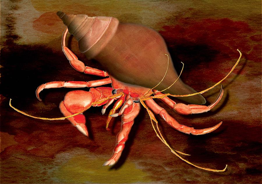 Hermit Crab Painting by Anne Beverley-Stamps